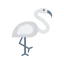 Flamingo icon 64x64