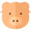 Pig 图标 64x64