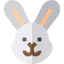 Rabbit 图标 64x64