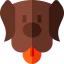 Dog 图标 64x64