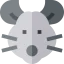 Rat 图标 64x64