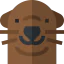 Sea lion icon 64x64