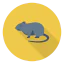 Rat icon 64x64