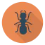 Ant icon 64x64