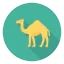 Camel icon 64x64