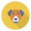 Dog icon 64x64