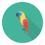 Parrot icon 64x64