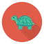 Turtle icon 64x64