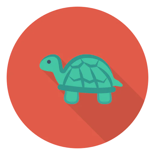 Turtle icon