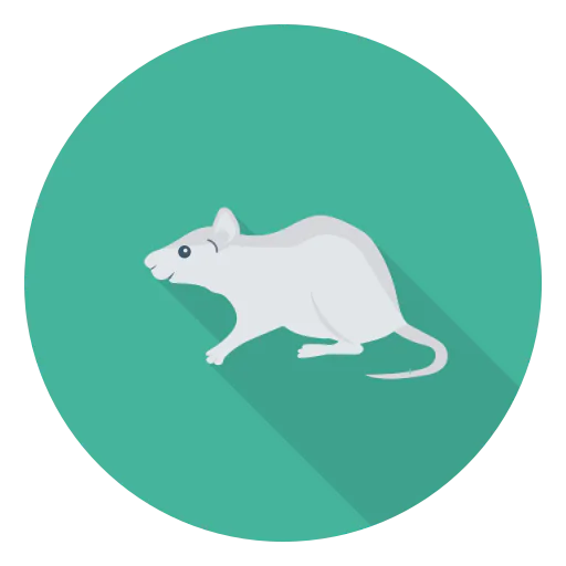 Mouse icon