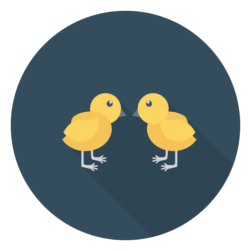Chicks icon