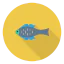 Fish icon 64x64