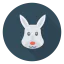 Rabbit icon 64x64