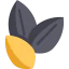 Sesame icon 64x64