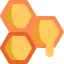 Honey Ikona 64x64