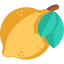 Citrus icon 64x64