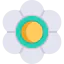 Flower icon 64x64