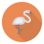 Flamingo 상 64x64