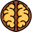 Nut icon 64x64