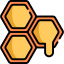 Honey icon 64x64