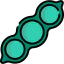 Soya icon 64x64
