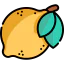 Citrus icon 64x64