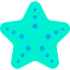 Starfish icon 64x64