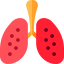 Lung Symbol 64x64