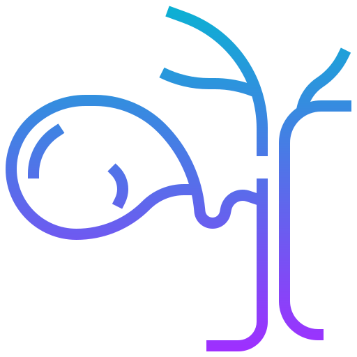 Gallbladder icon