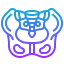 Pelvis icon 64x64
