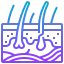 Skin icon 64x64