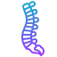 Spine icon 64x64