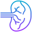 Spleen icon 64x64