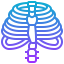Thorax icon 64x64