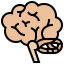 Brain icon 64x64