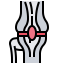 Knee joint icon 64x64