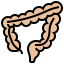 Large intestine icon 64x64