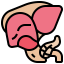 Liver organ icon 64x64