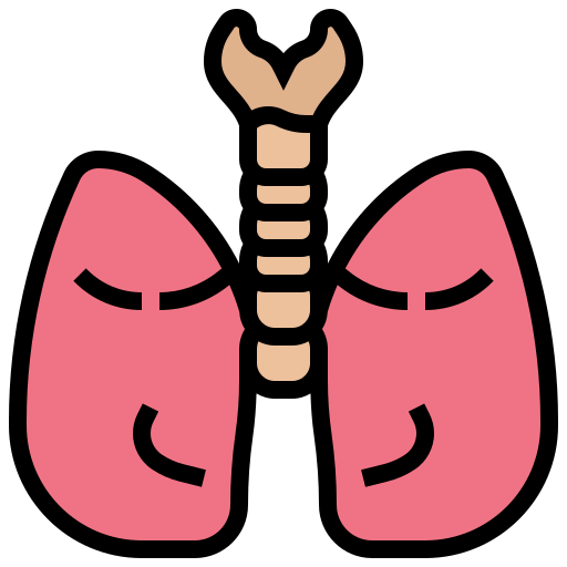 Lung icon