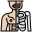 Human body icon 64x64