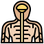 Human body icon 64x64