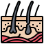 Skin icon 64x64