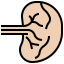 Spleen icon 64x64