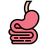 Stomach icon 64x64