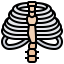 Thorax icon 64x64