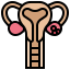 Uterus icon 64x64
