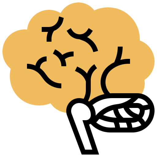 Brain icon