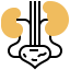 Kidney 图标 64x64