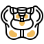 Pelvis 图标 64x64