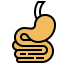 Stomach 图标 64x64